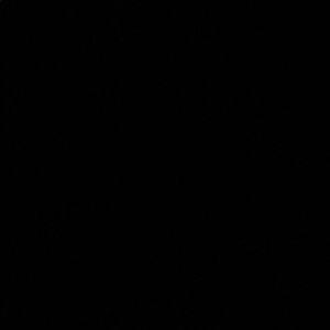 Meet your Posher, Lacy